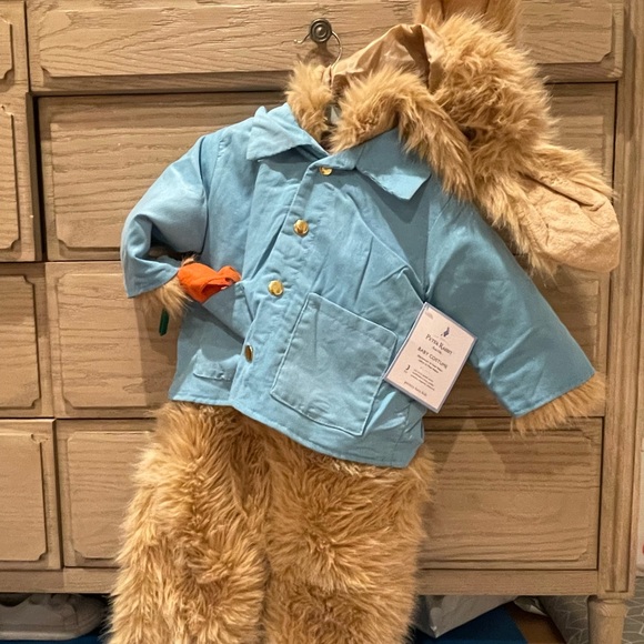 Peter Rabbit Costume from Pottery Barn Kids. Size 12-24 months. - Picture 3 of 10